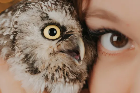 VegasWild Casino Suporte